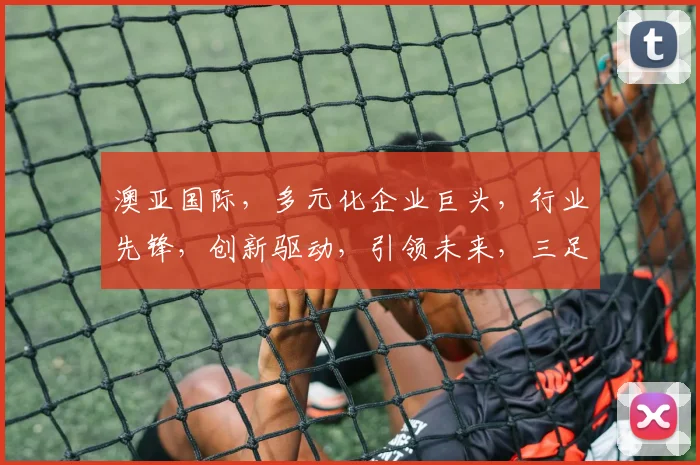 澳亚国际，多元化企业巨头，行业先锋，创新驱动，引领未来，三足鼎立，共筑辉煌。