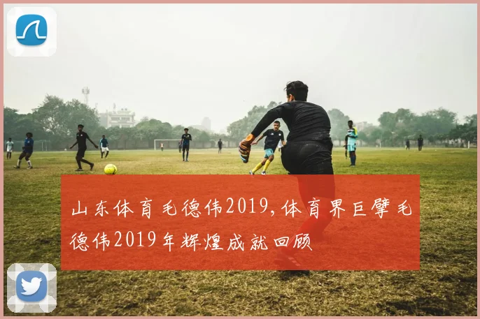 山东体育毛德伟2019,体育界巨擘毛德伟2019年辉煌成就回顾