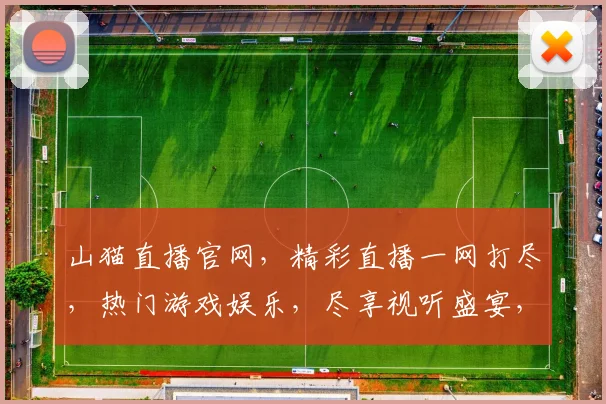 山猫直播官网，精彩直播一网打尽，热门游戏娱乐，尽享视听盛宴，不容错过